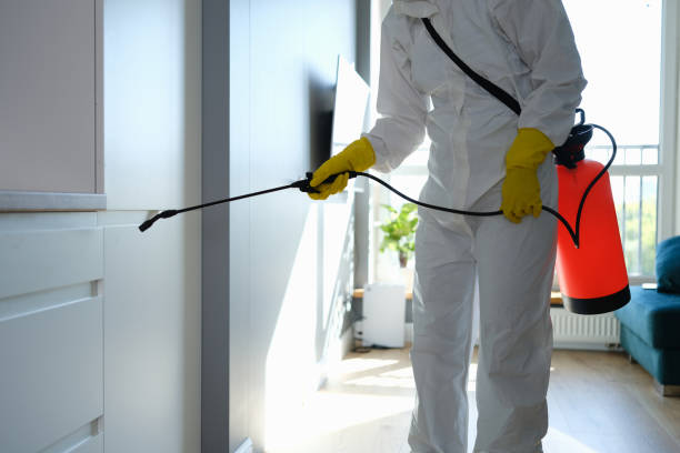 Mold Remediation for Rental Properties in Jefferson, IA